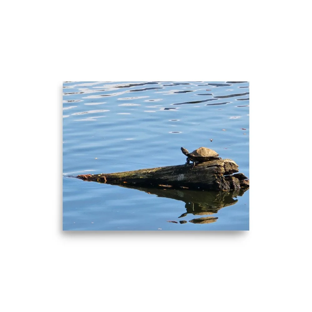 premium-luster-photo-paper-poster-(in)-8x10-front-6a074380061ff.jpg