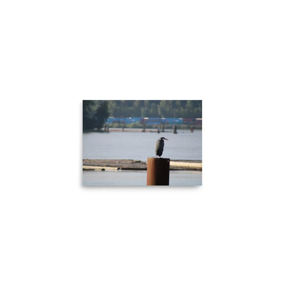 premium-luster-photo-paper-poster-(in)-5x7-front-6a13ccd47743b.jpg