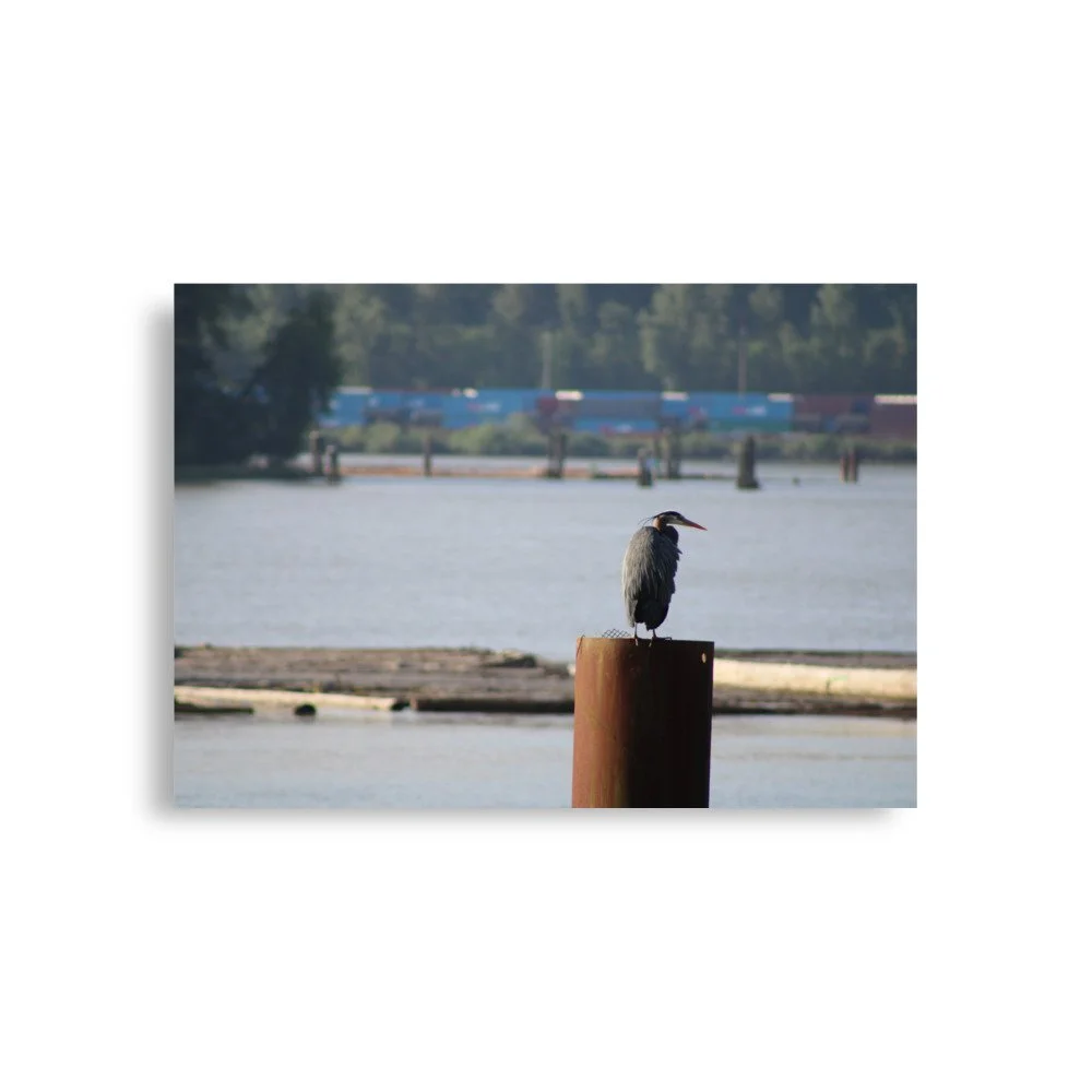 premium-luster-photo-paper-poster-(in)-a1-(23.3x33.1)-front-6a13ccd478aec.jpg