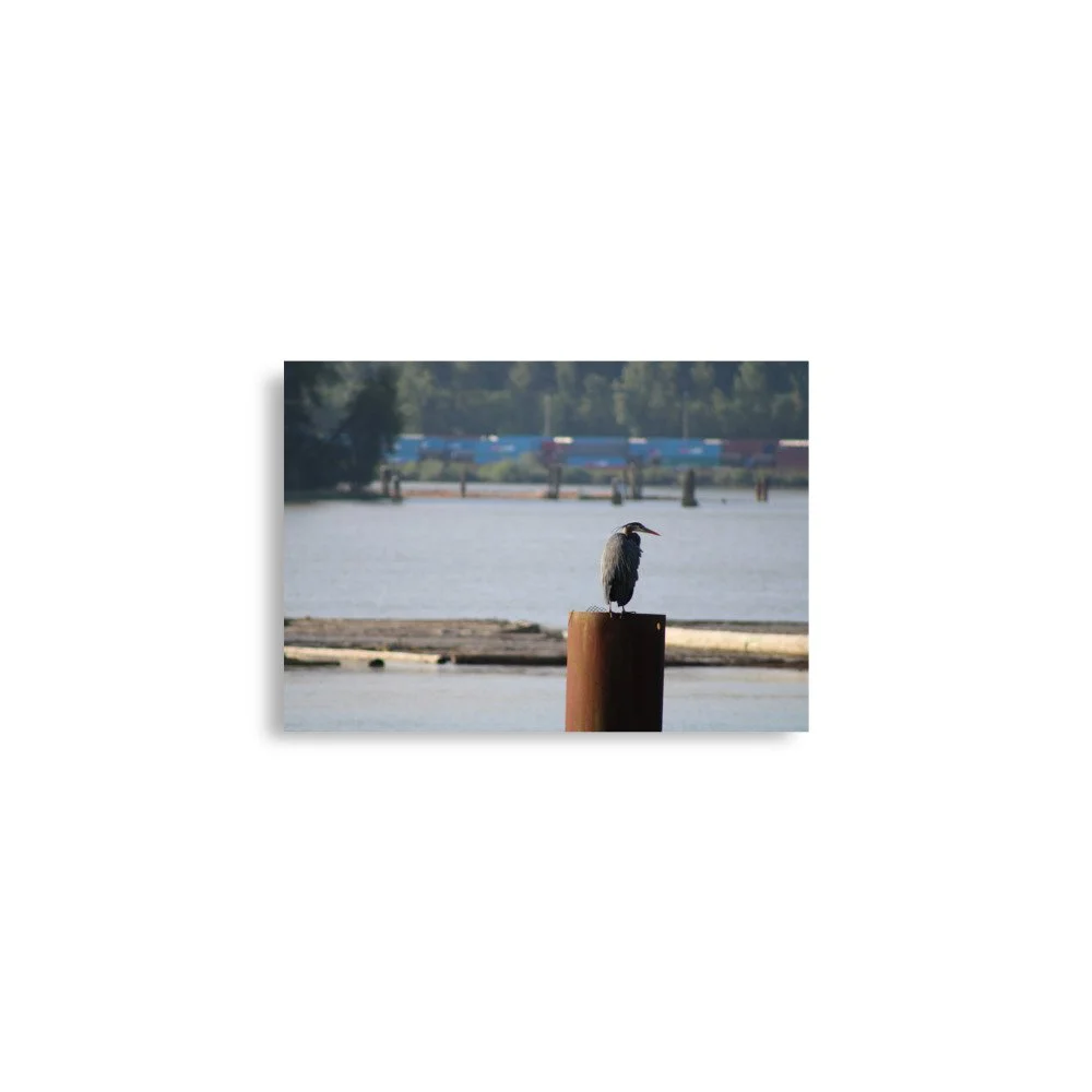 premium-luster-photo-paper-poster-(in)-a2-(16.5x23.3)-front-6a13ccd47961a.jpg