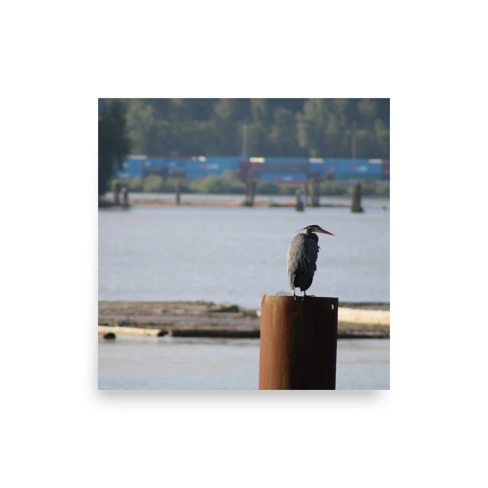 premium-luster-photo-paper-poster-(in)-10x10-front-6a13ccd46f9ae.jpg