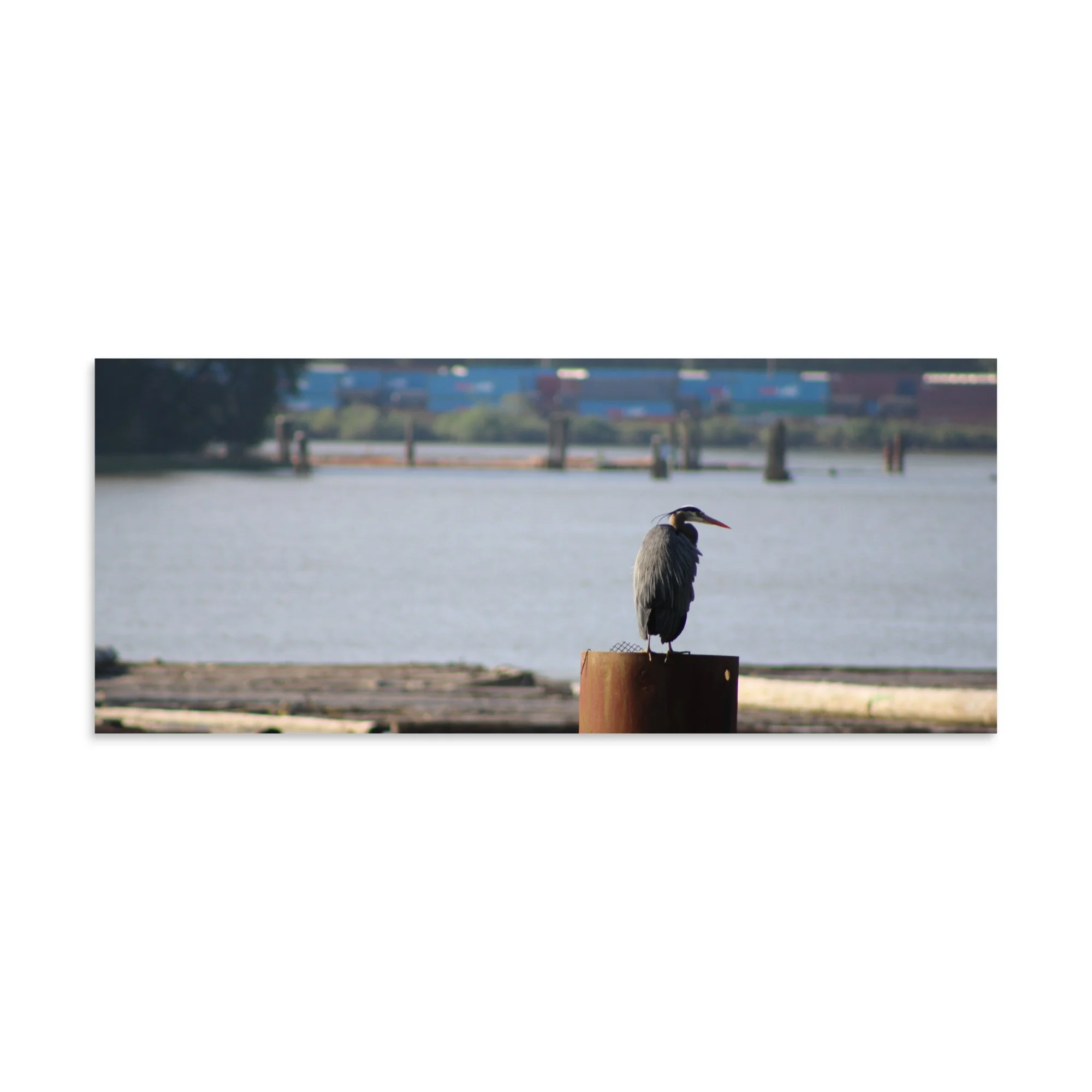 premium-luster-photo-paper-poster-(in)-10x24-front-6a13ccd47f048.jpg