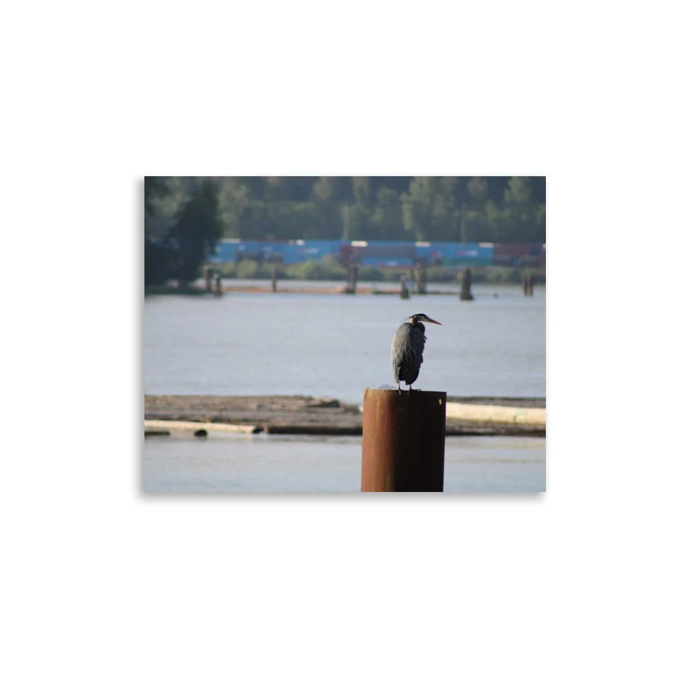 premium-luster-photo-paper-poster-(in)-11x14-front-6a13ccd476905.jpg