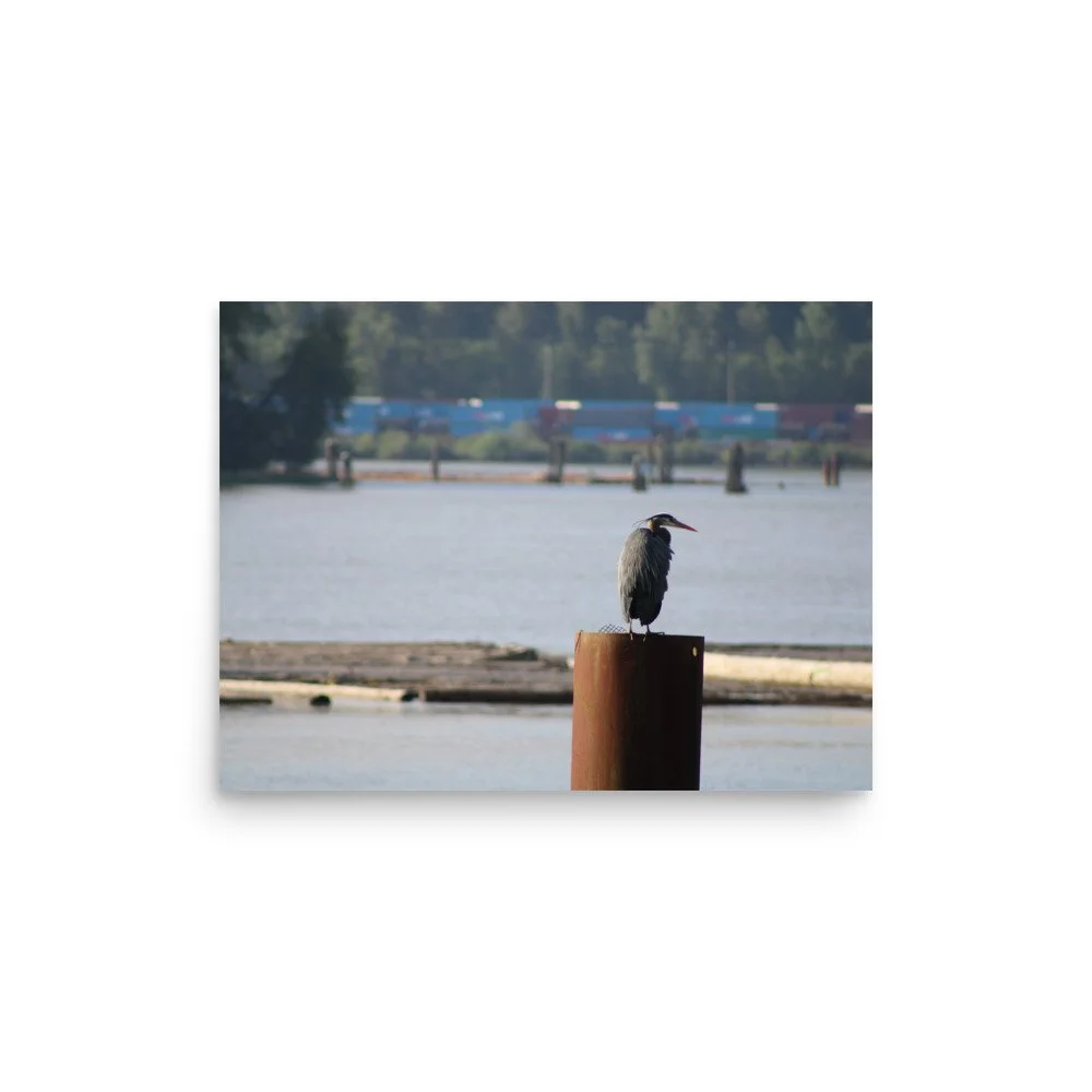premium-luster-photo-paper-poster-(in)-12x16-front-6a13ccd471000.jpg