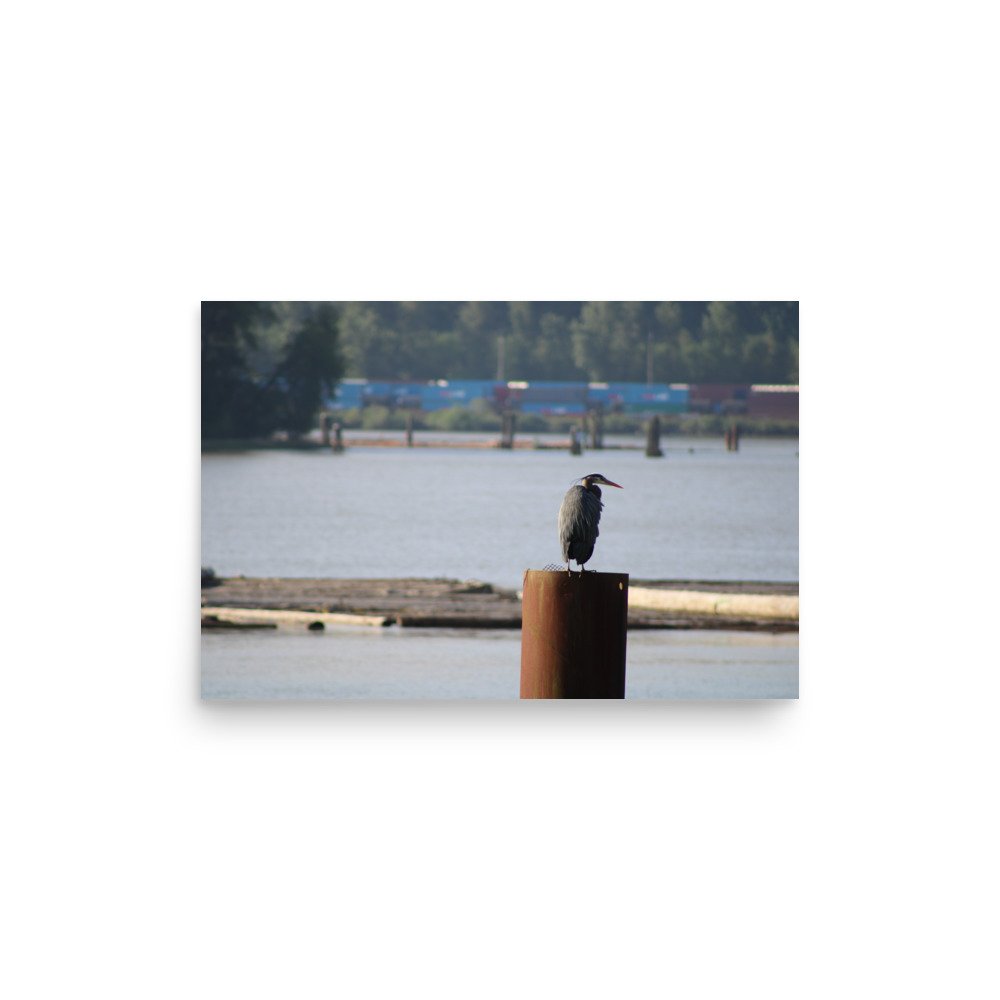 premium-luster-photo-paper-poster-(in)-12x18-front-6a13ccd471b2a.jpg