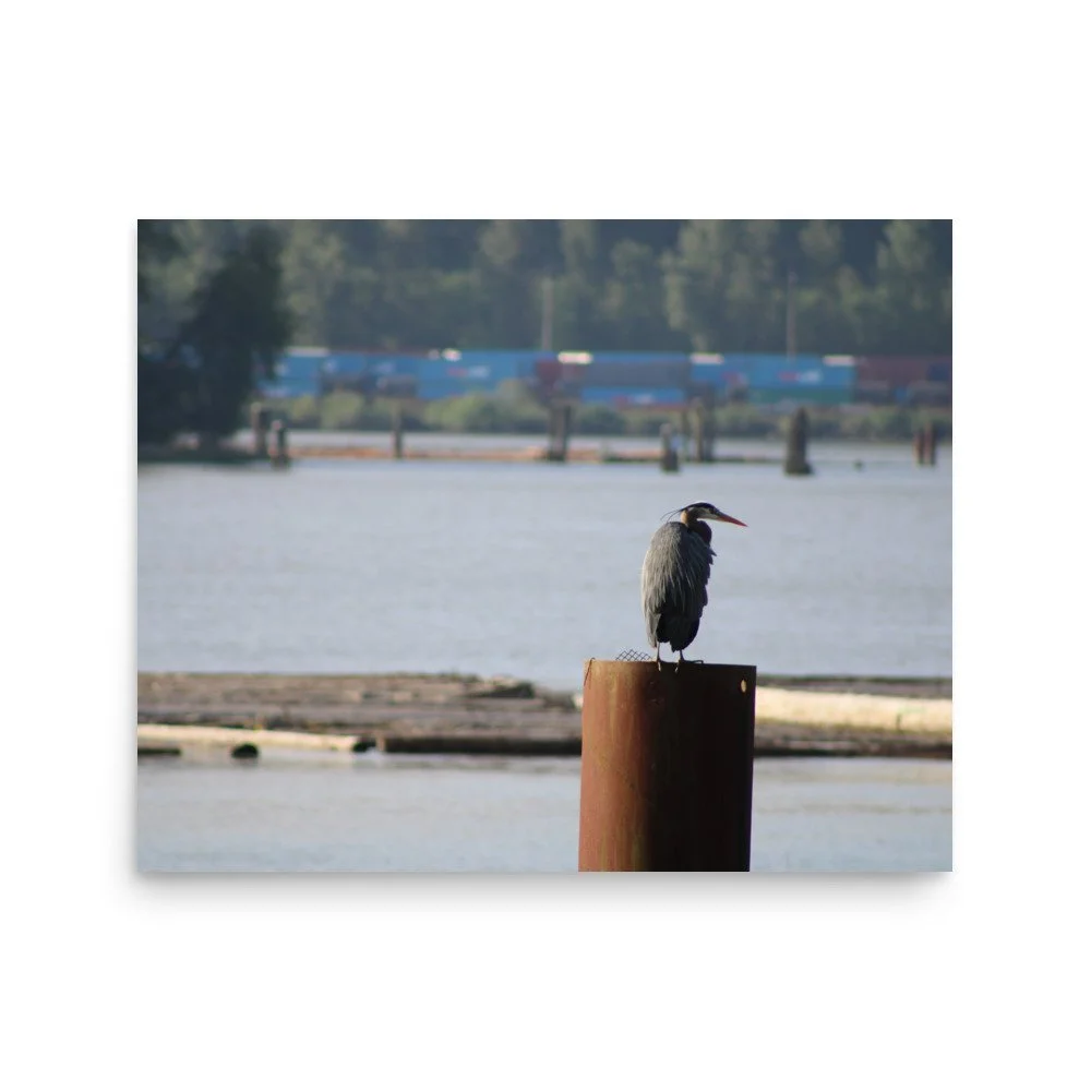 premium-luster-photo-paper-poster-(in)-16x20-front-6a13ccd473c51.jpg