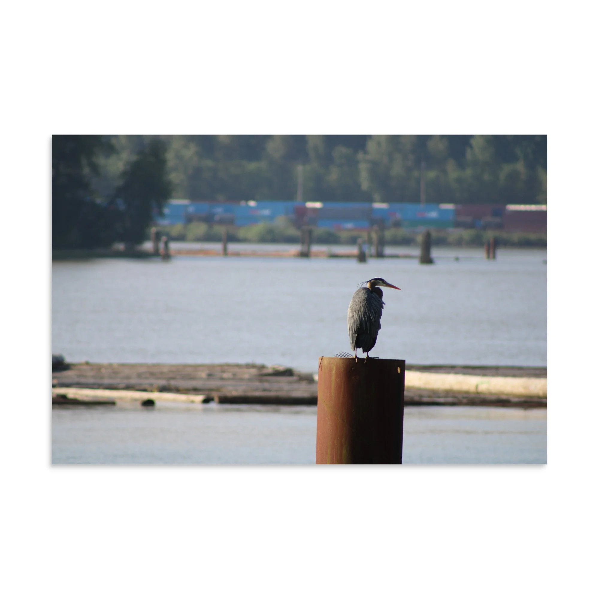 premium-luster-photo-paper-poster-(in)-16x24-front-6a13ccd47d9a5.jpg