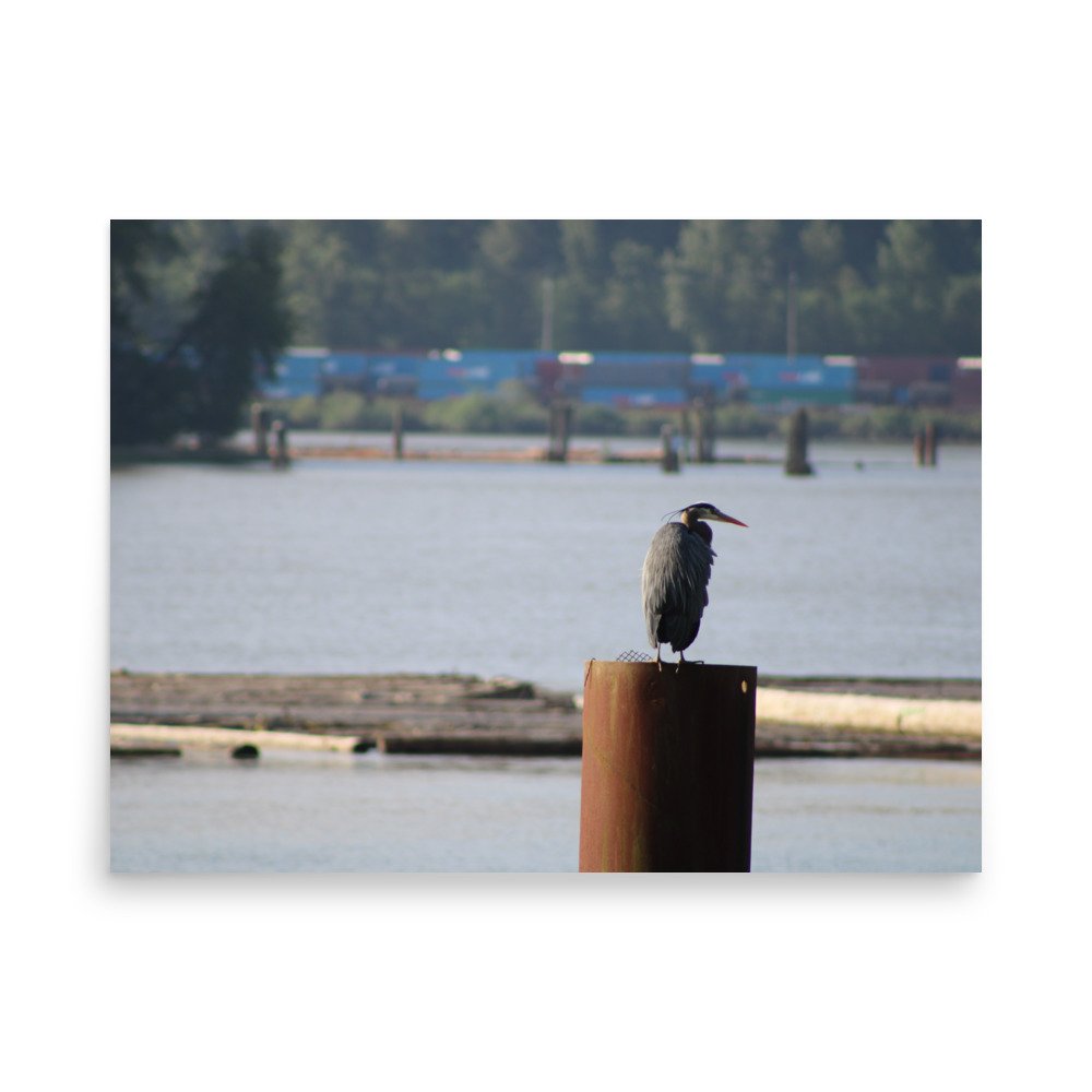 premium-luster-photo-paper-poster-(in)-18x24-front-6a13ccd4752b3.jpg