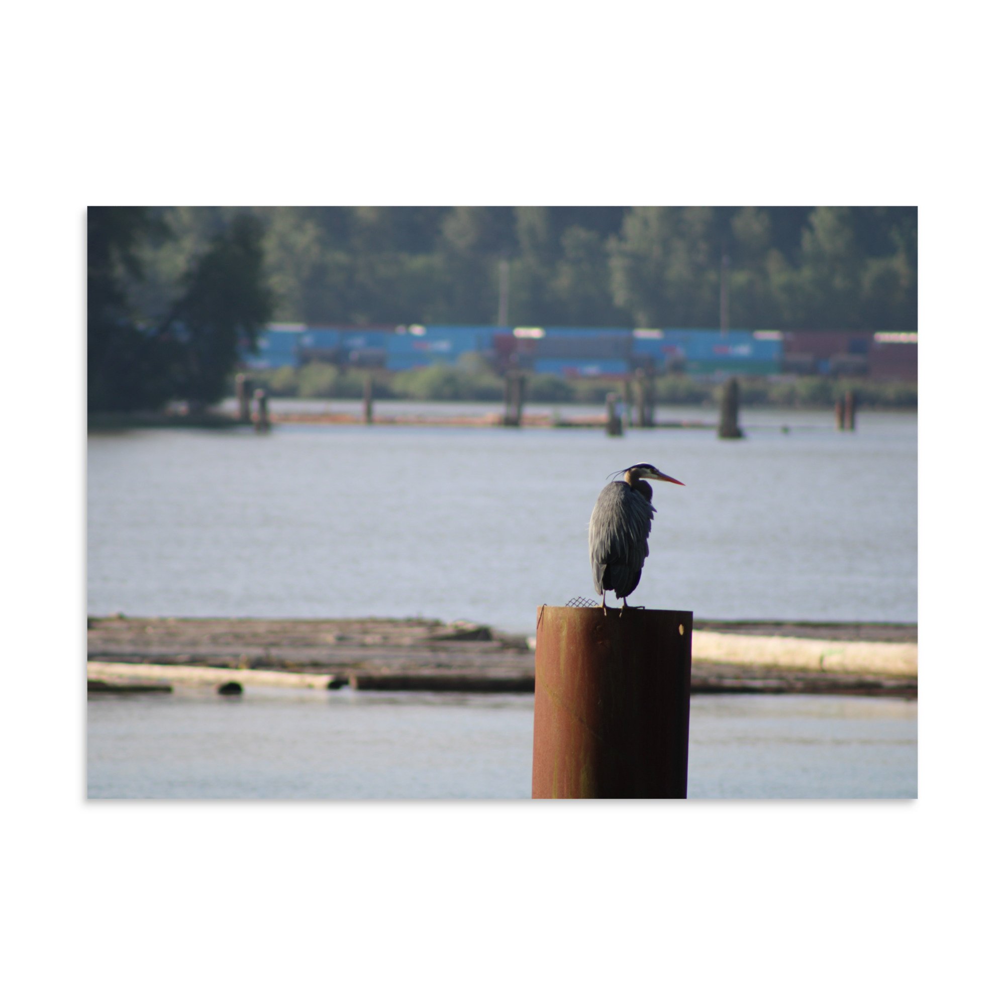premium-luster-photo-paper-poster-(in)-20x28-front-6a13ccd47ce6a.jpg