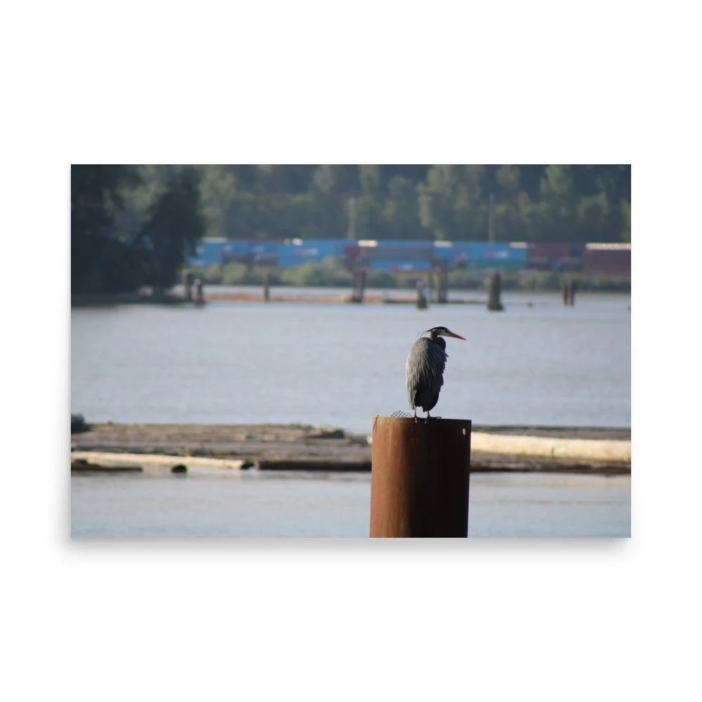 premium-luster-photo-paper-poster-(in)-24x36-front-6a13ccd475de8.jpg