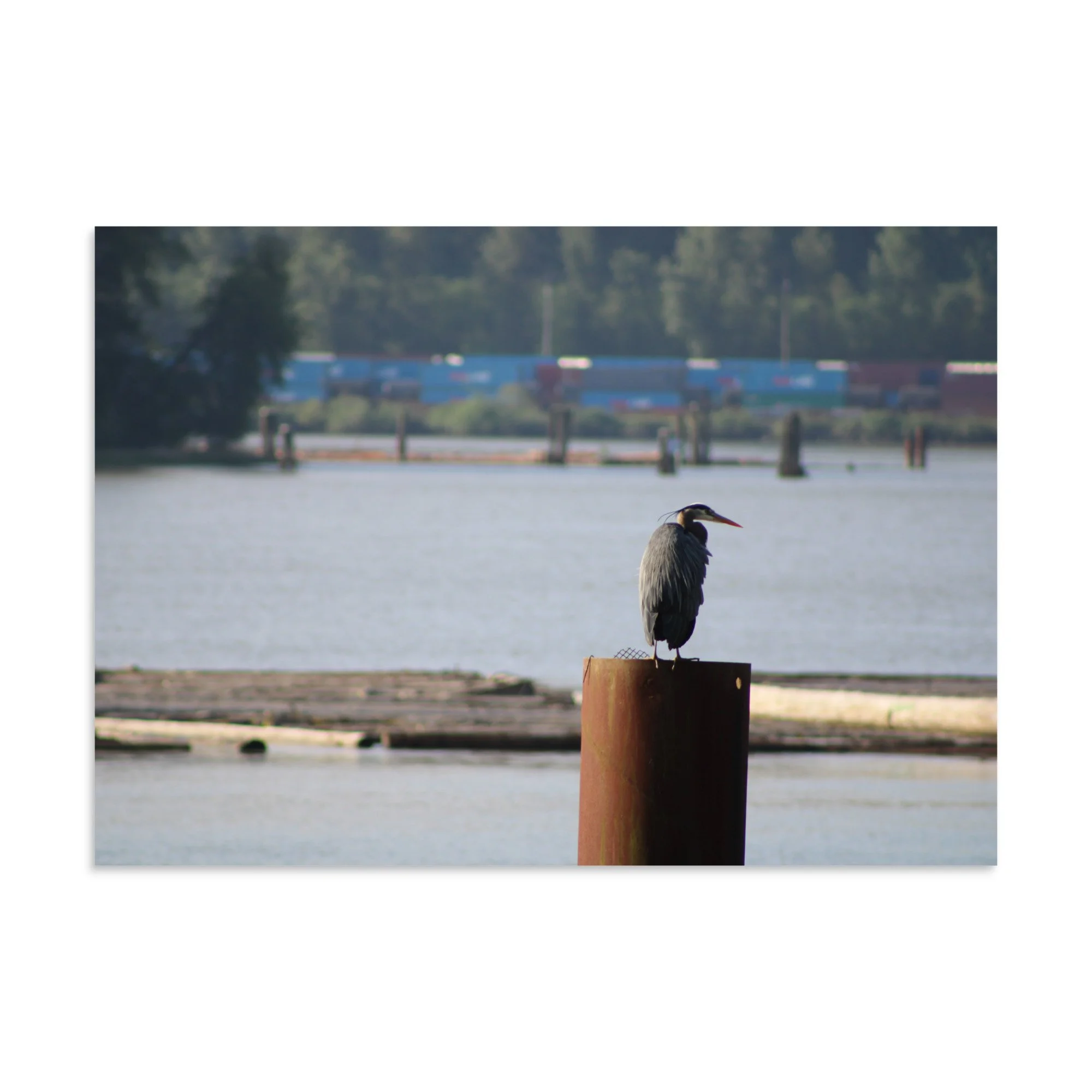 premium-luster-photo-paper-poster-(in)-8.27x11.69-front-6a13ccd47ac59.jpg
