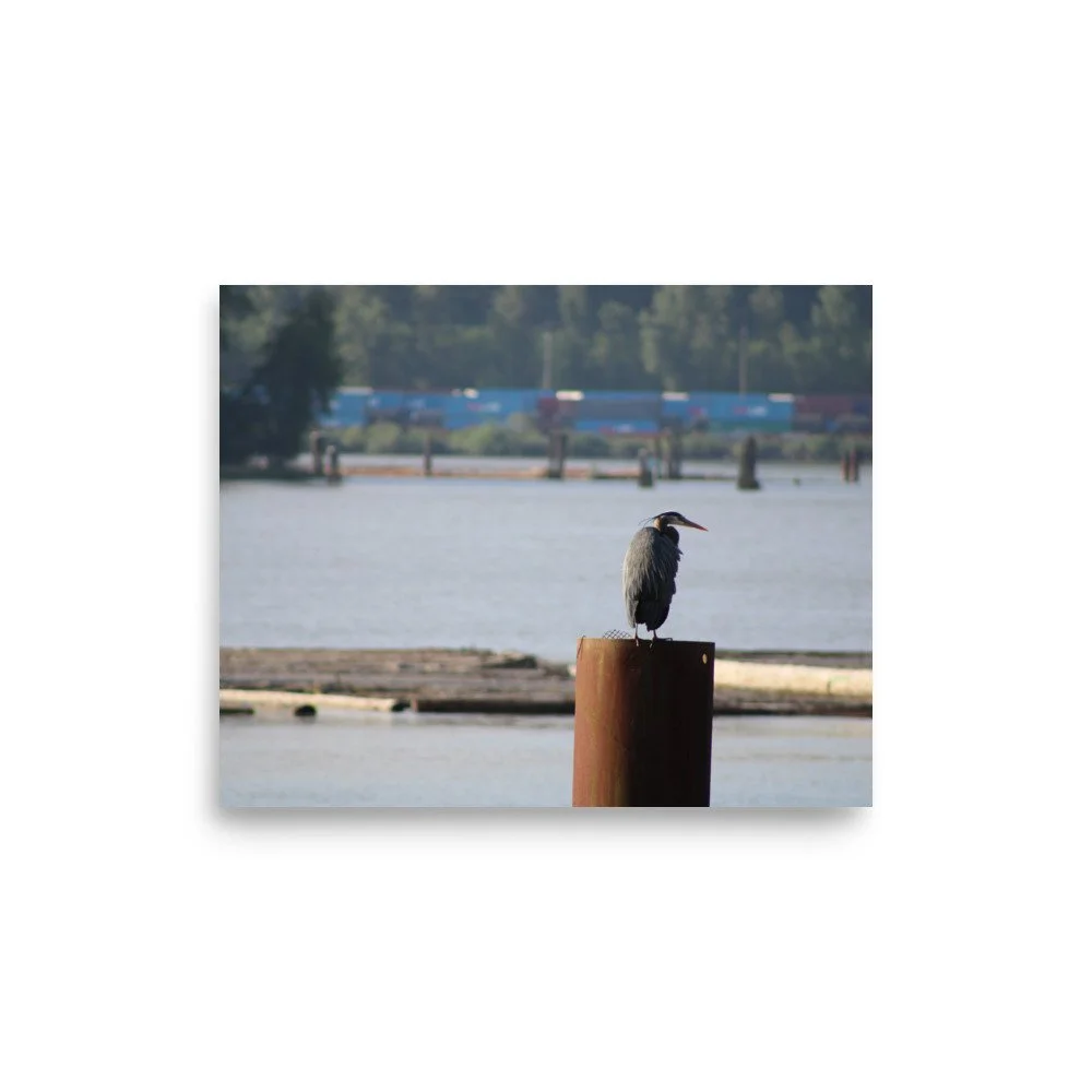 premium-luster-photo-paper-poster-(in)-8x10-front-6a13ccd46db0e.jpg
