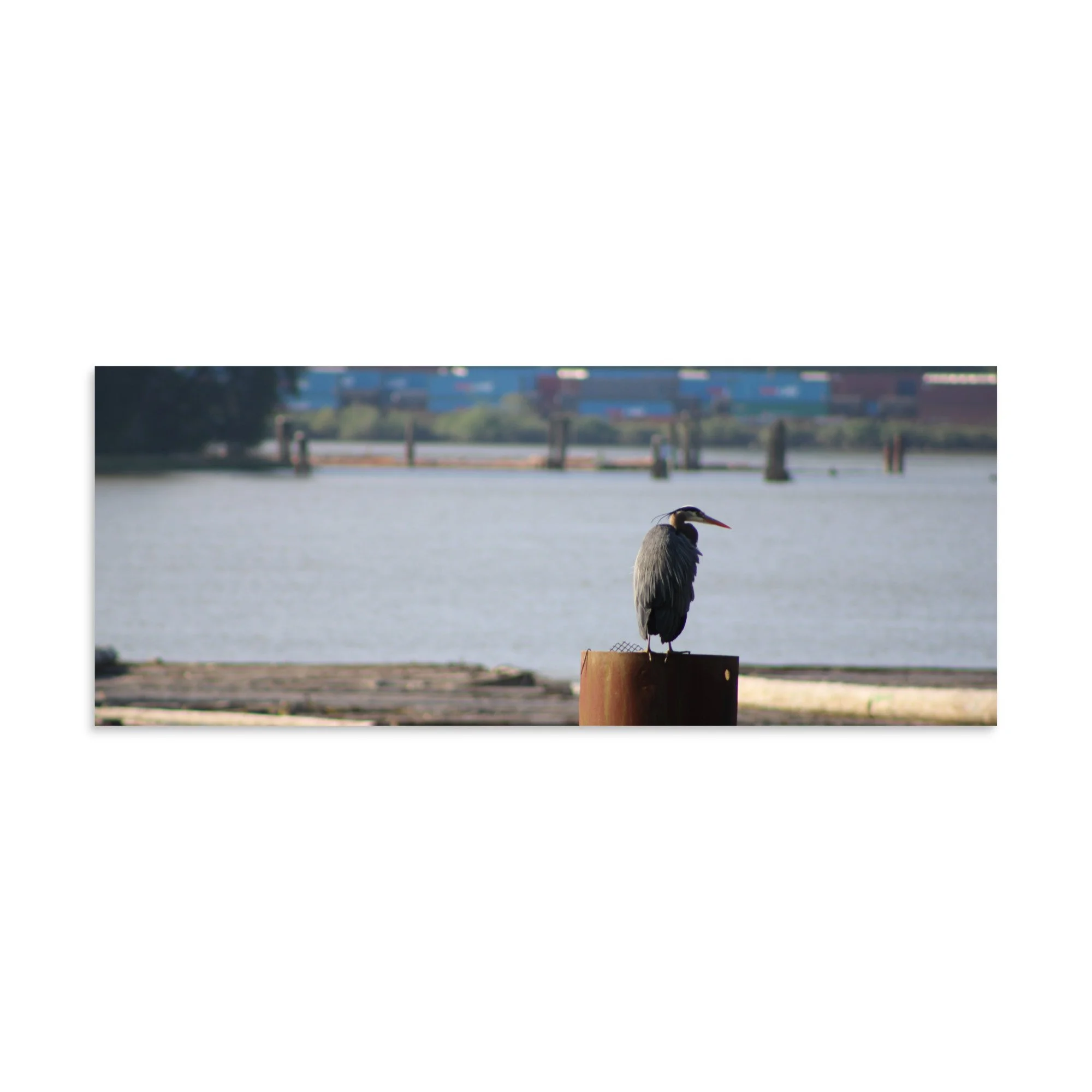 premium-luster-photo-paper-poster-(in)-8x20-front-6a13ccd4806e2.jpg