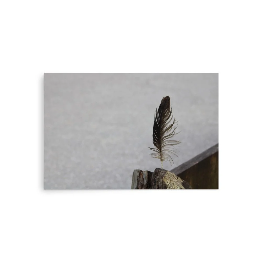 premium-luster-photo-paper-poster-(in)-20x30-front-6a13cdf8af0c2.jpg