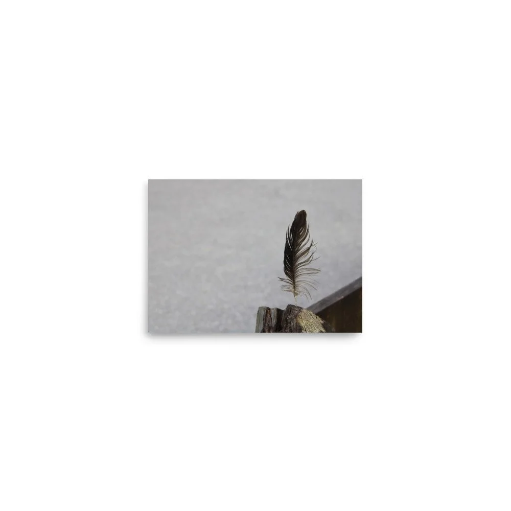 premium-luster-photo-paper-poster-(in)-5x7-front-6a13cdf8aead9.jpg