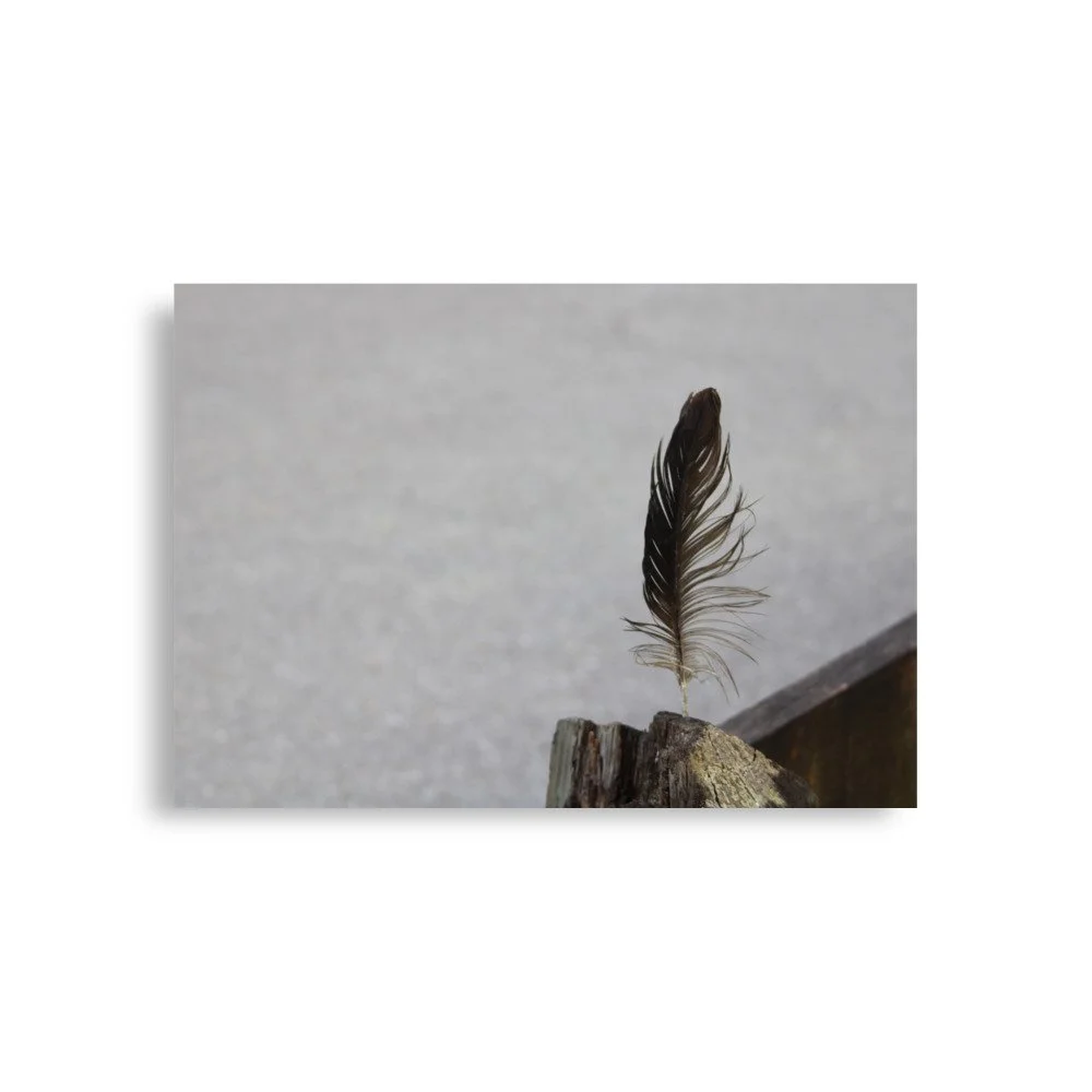 premium-luster-photo-paper-poster-(in)-a1-(23.3x33.1)-front-6a13cdf8af6ec.jpg