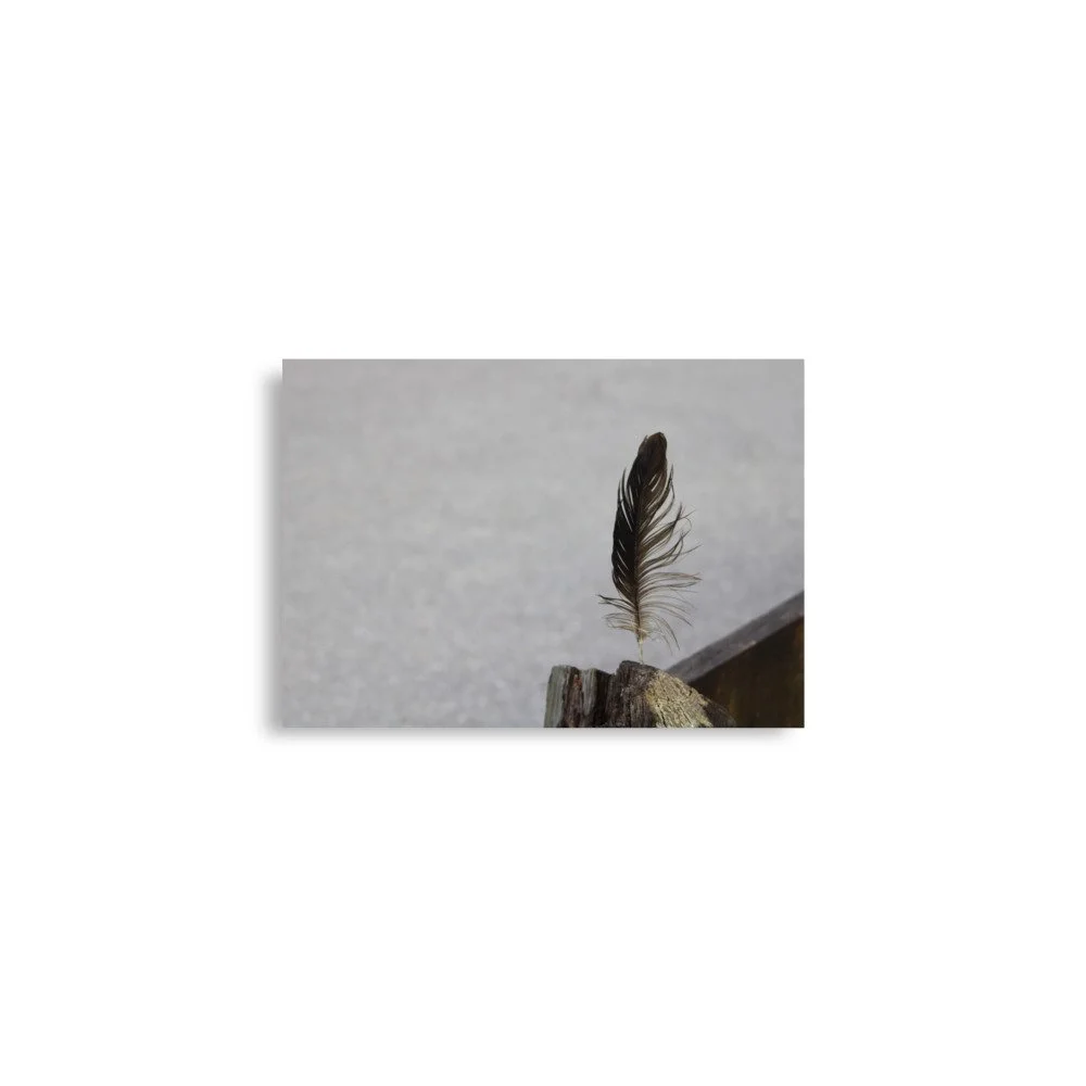 premium-luster-photo-paper-poster-(in)-a2-(16.5x23.3)-front-6a13cdf8afcdf.jpg