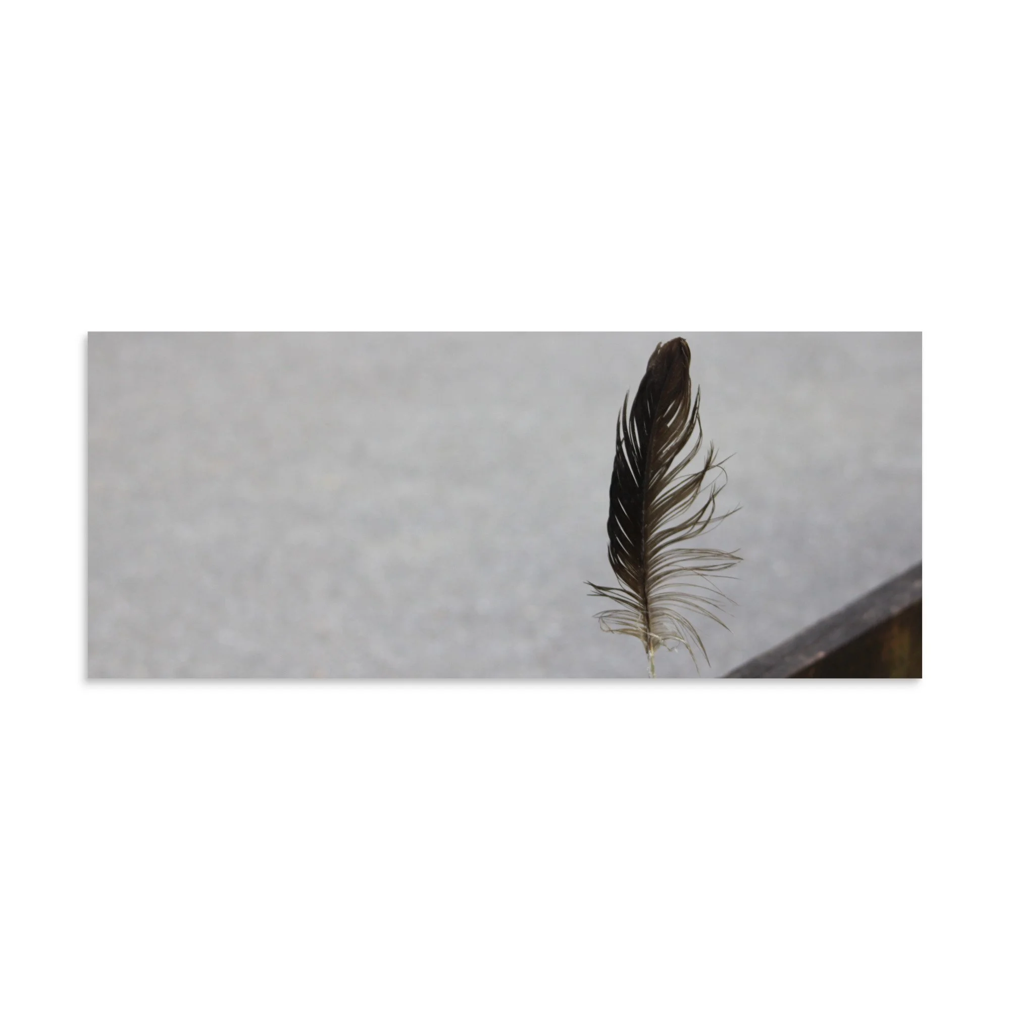 premium-luster-photo-paper-poster-(in)-10x24-front-6a13cdf8b2b82.jpg