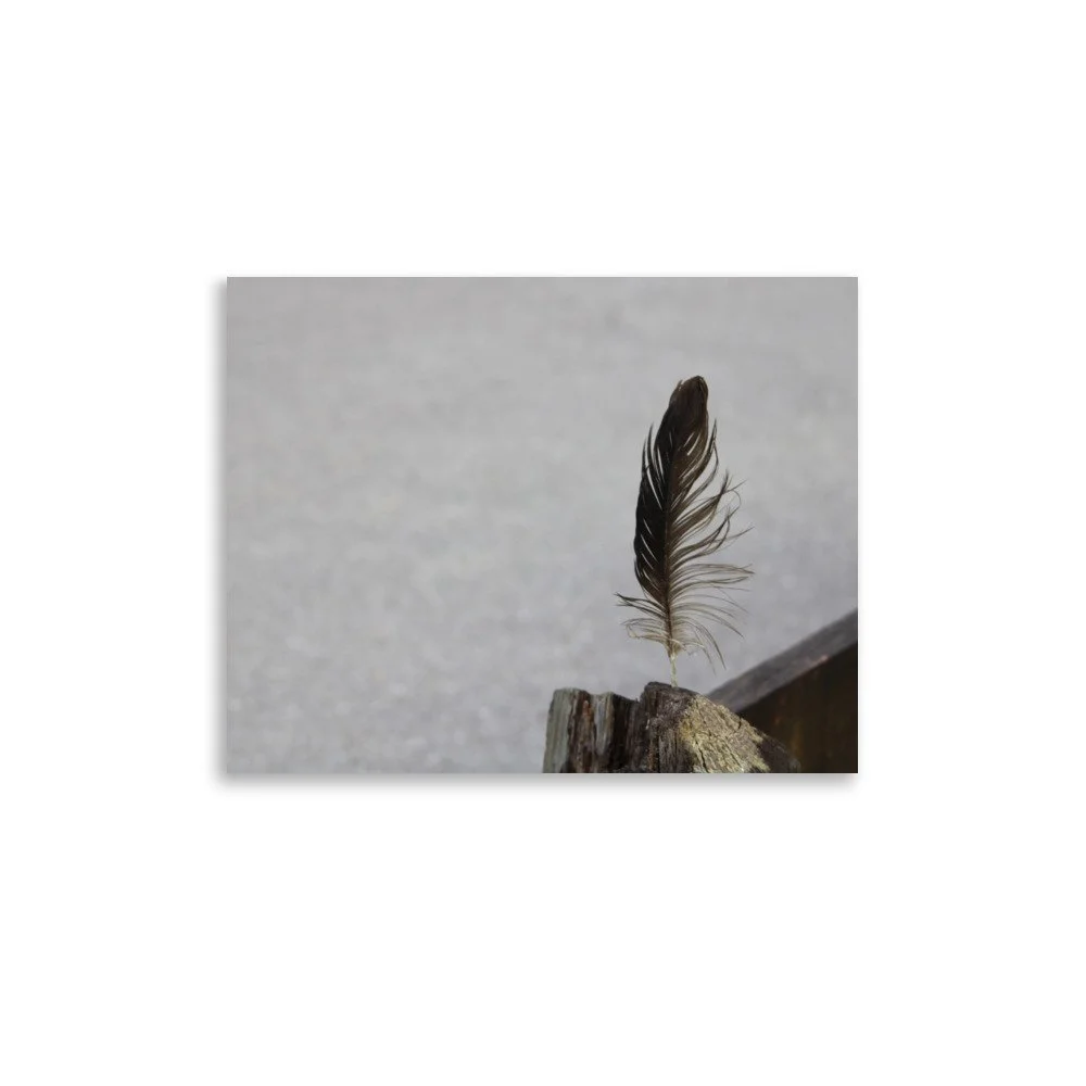premium-luster-photo-paper-poster-(in)-11x14-front-6a13cdf8ae519.jpg