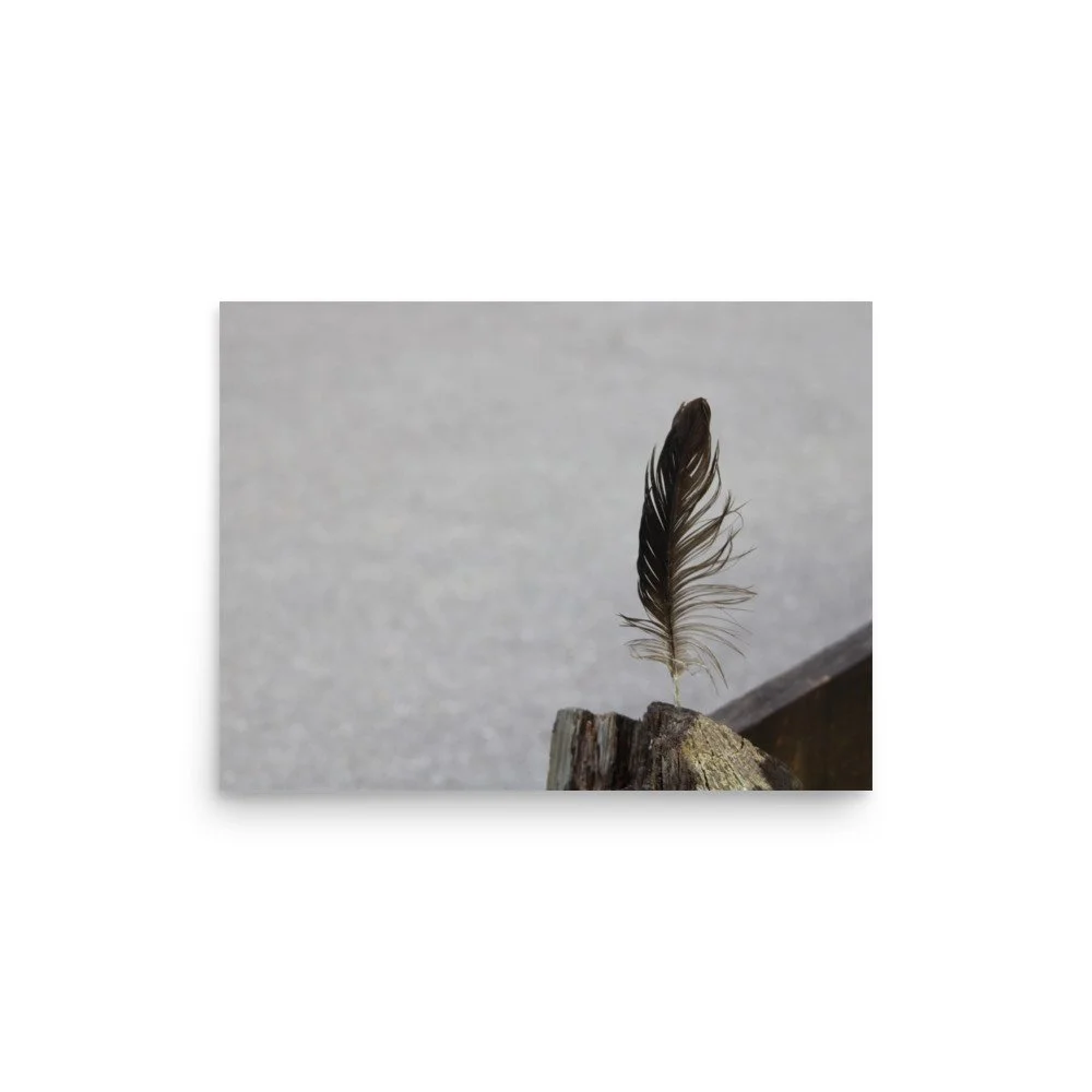 premium-luster-photo-paper-poster-(in)-12x16-front-6a13cdf8abacd.jpg