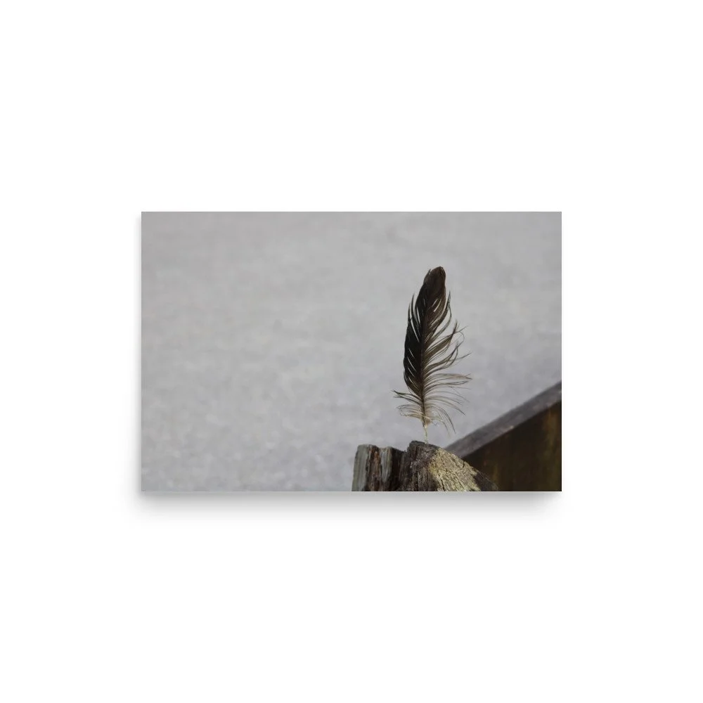 premium-luster-photo-paper-poster-(in)-12x18-front-6a13cdf8abfef.jpg
