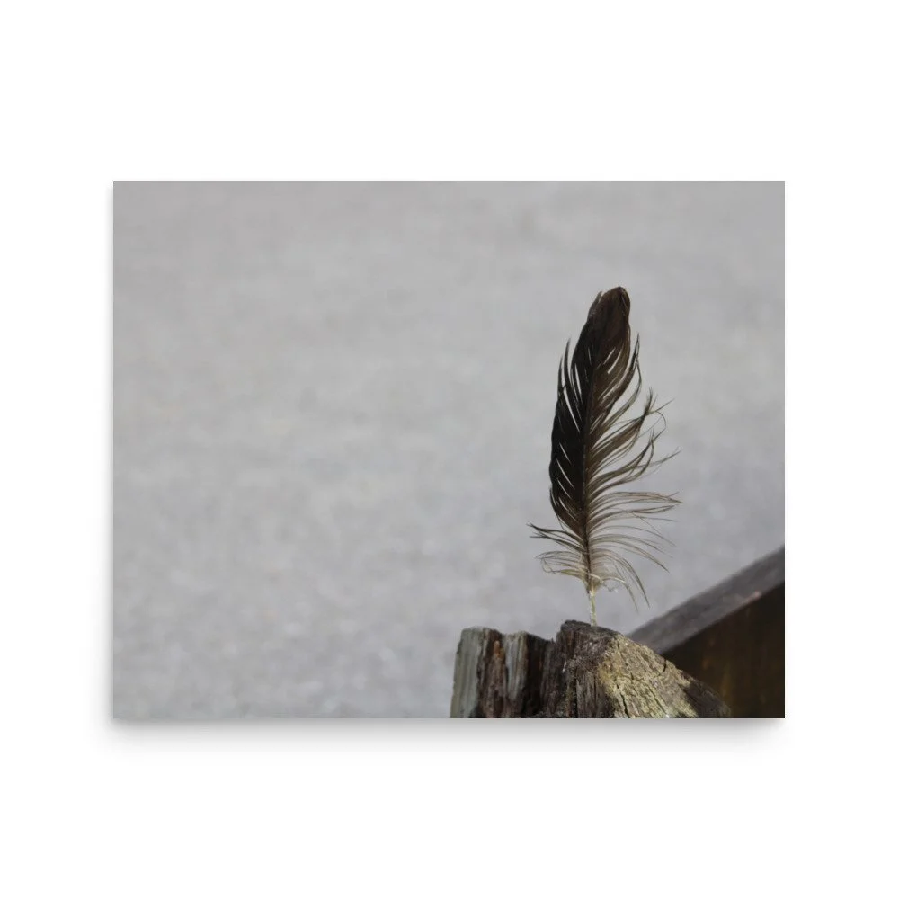 premium-luster-photo-paper-poster-(in)-16x20-front-6a13cdf8acf9f.jpg