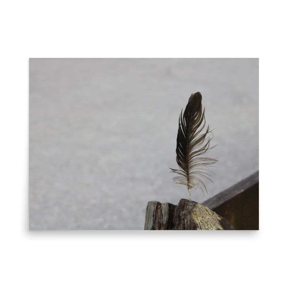 premium-luster-photo-paper-poster-(in)-18x24-front-6a13cdf8ada95.jpg