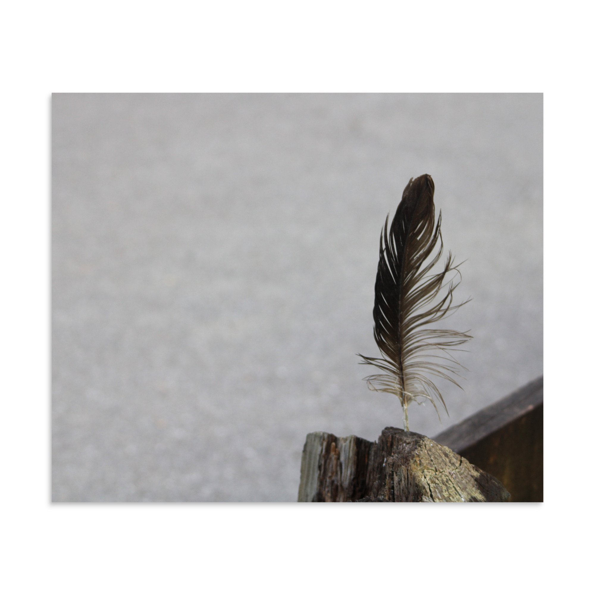premium-luster-photo-paper-poster-(in)-20x24-front-6a13cdf8b14a6.jpg