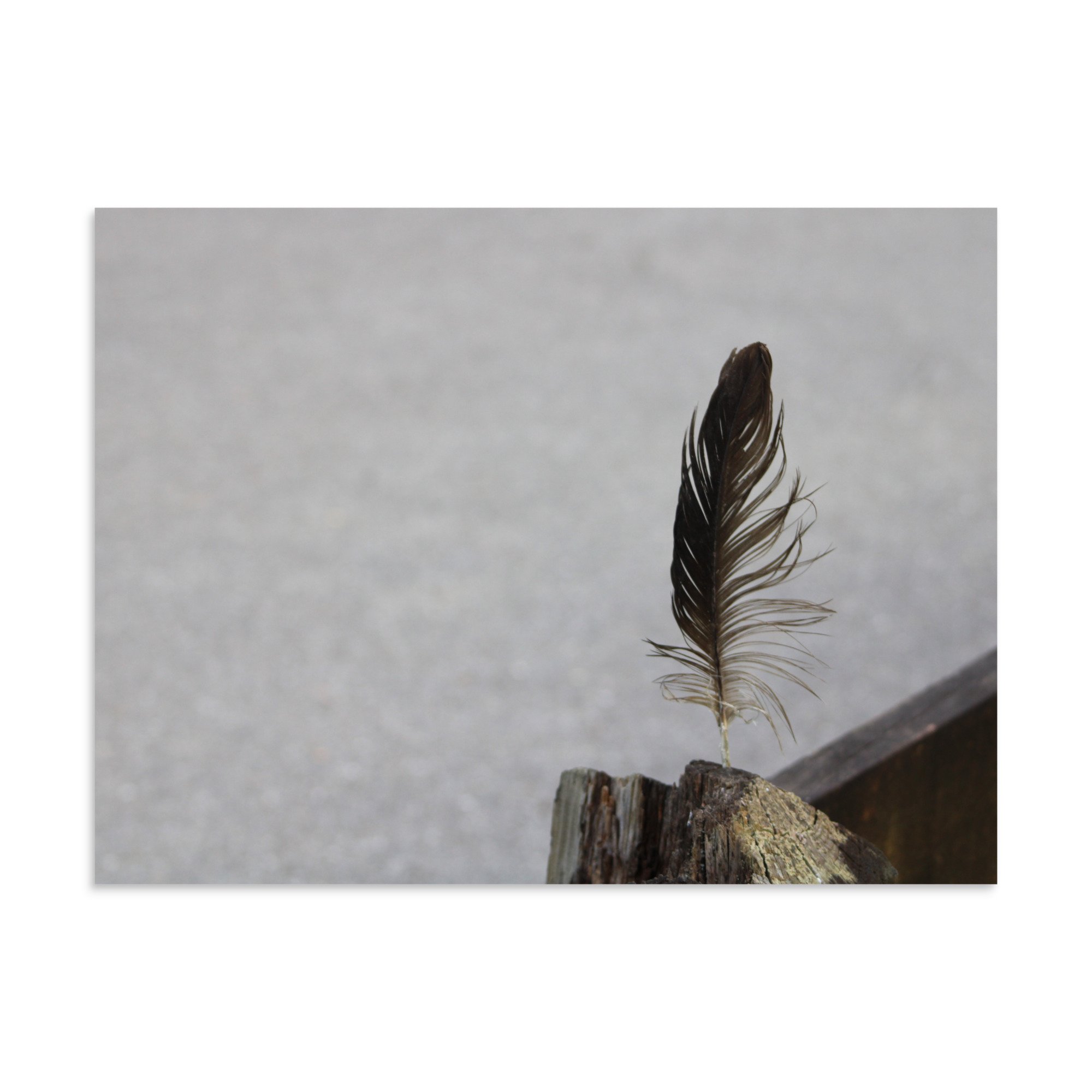 premium-luster-photo-paper-poster-(in)-24x32-front-6a13cdf8b42b4.jpg