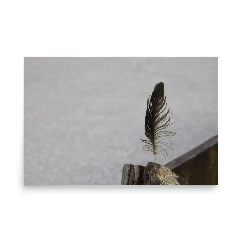 premium-luster-photo-paper-poster-(in)-24x36-front-6a13cdf8ae00d.jpg