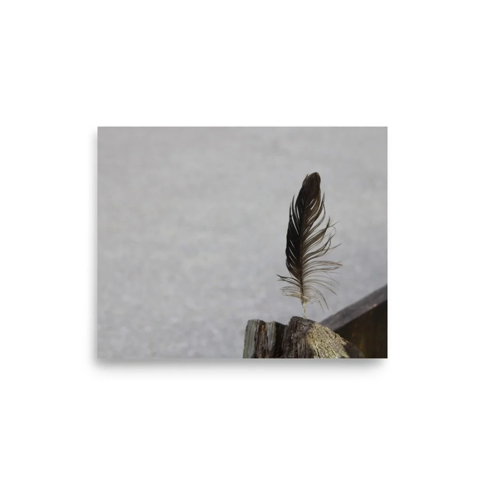 premium-luster-photo-paper-poster-(in)-8x10-front-6a13cdf8aa453.jpg