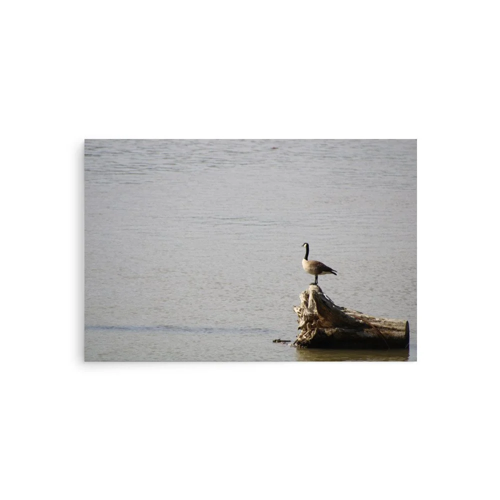 premium-luster-photo-paper-poster-(in)-20x30-front-6a13d0917f5ec.jpg
