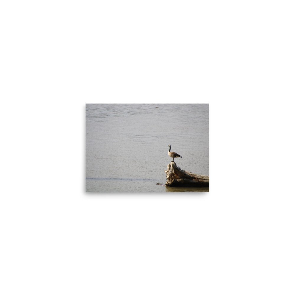 premium-luster-photo-paper-poster-(in)-5x7-front-6a13d0917e818.jpg