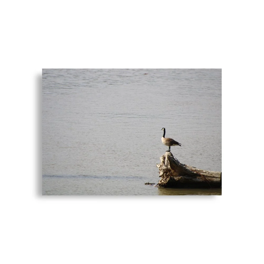 premium-luster-photo-paper-poster-(in)-a1-(23.3x33.1)-front-6a13d091803bf.jpg