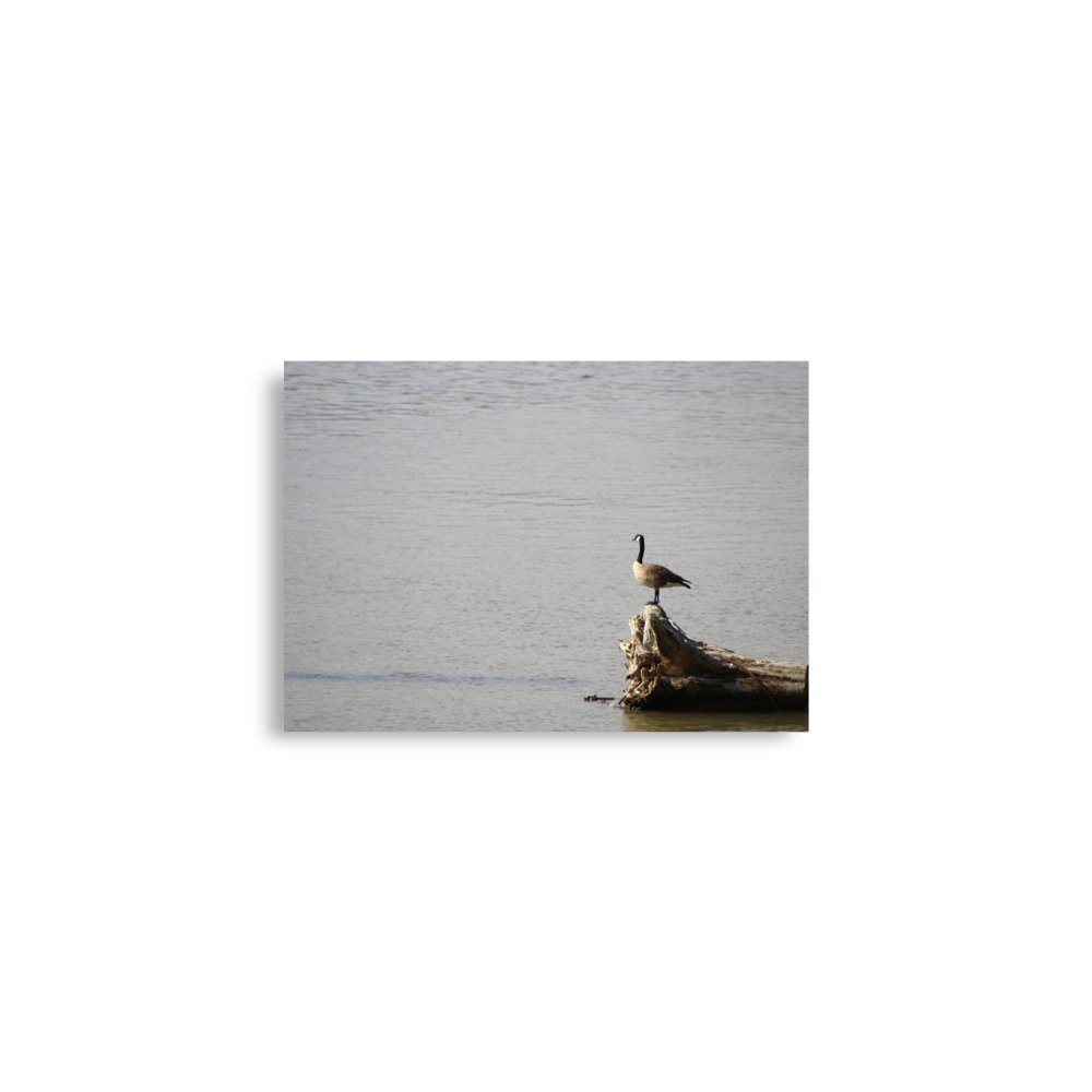 premium-luster-photo-paper-poster-(in)-a2-(16.5x23.3)-front-6a13d091811a4.jpg