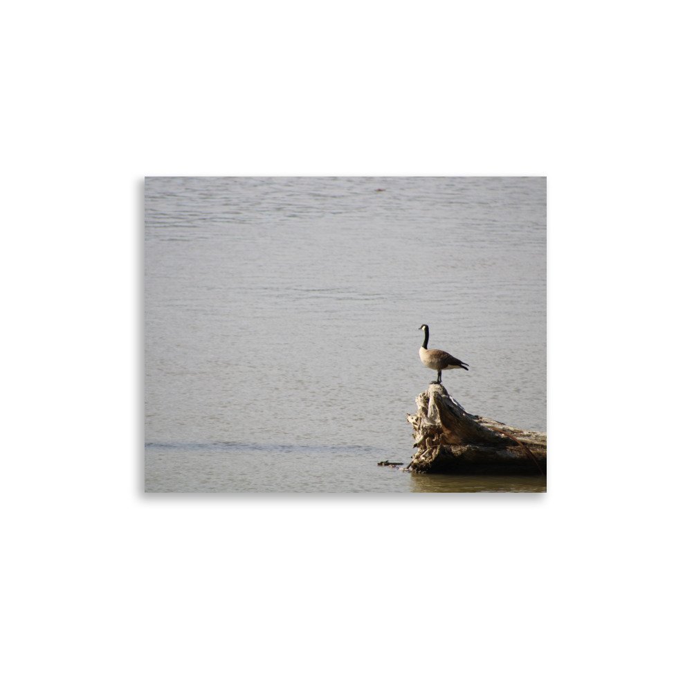 premium-luster-photo-paper-poster-(in)-11x14-front-6a13d0917da56.jpg