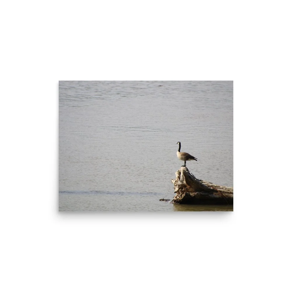premium-luster-photo-paper-poster-(in)-12x16-front-6a13d09176803.jpg