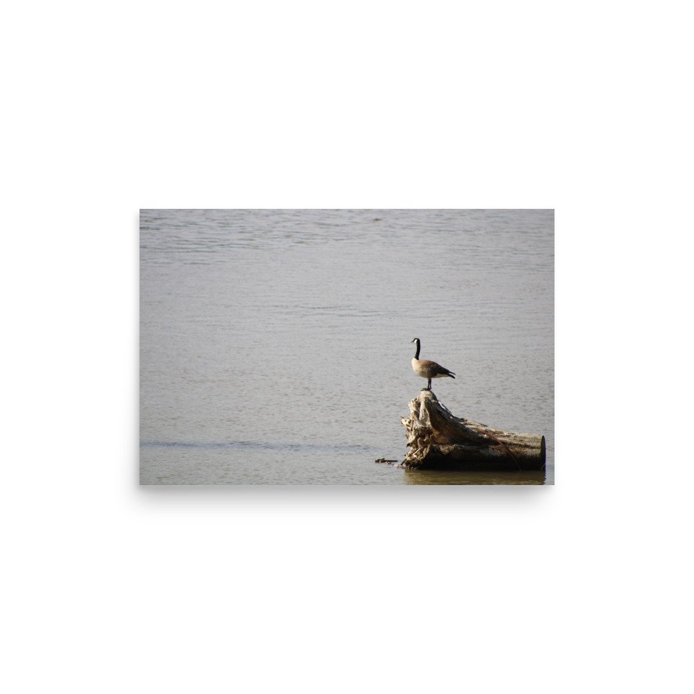 premium-luster-photo-paper-poster-(in)-12x18-front-6a13d09177696.jpg