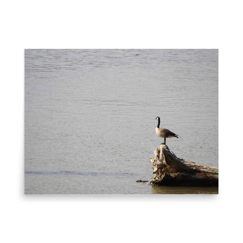 premium-luster-photo-paper-poster-(in)-18x24-front-6a13d0917be63.jpg