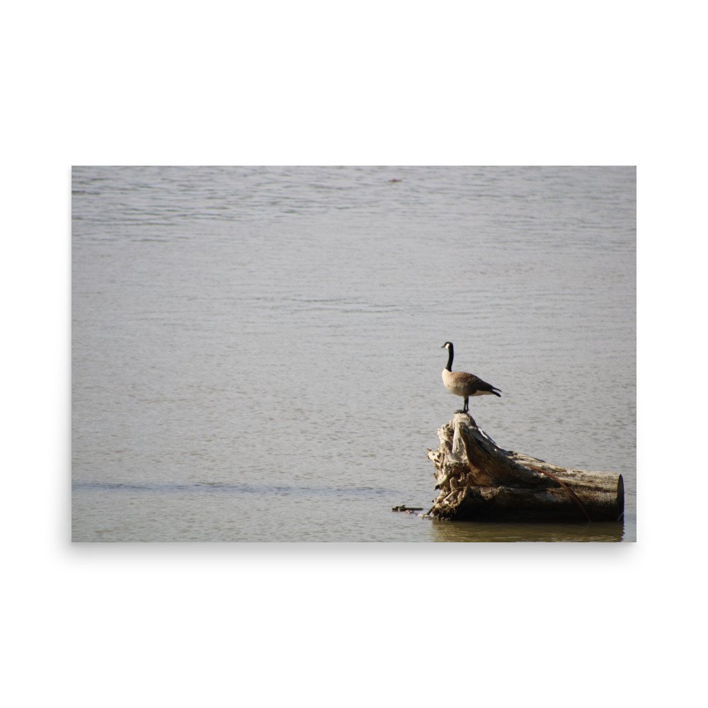 premium-luster-photo-paper-poster-(in)-24x36-front-6a13d0917cc4d.jpg