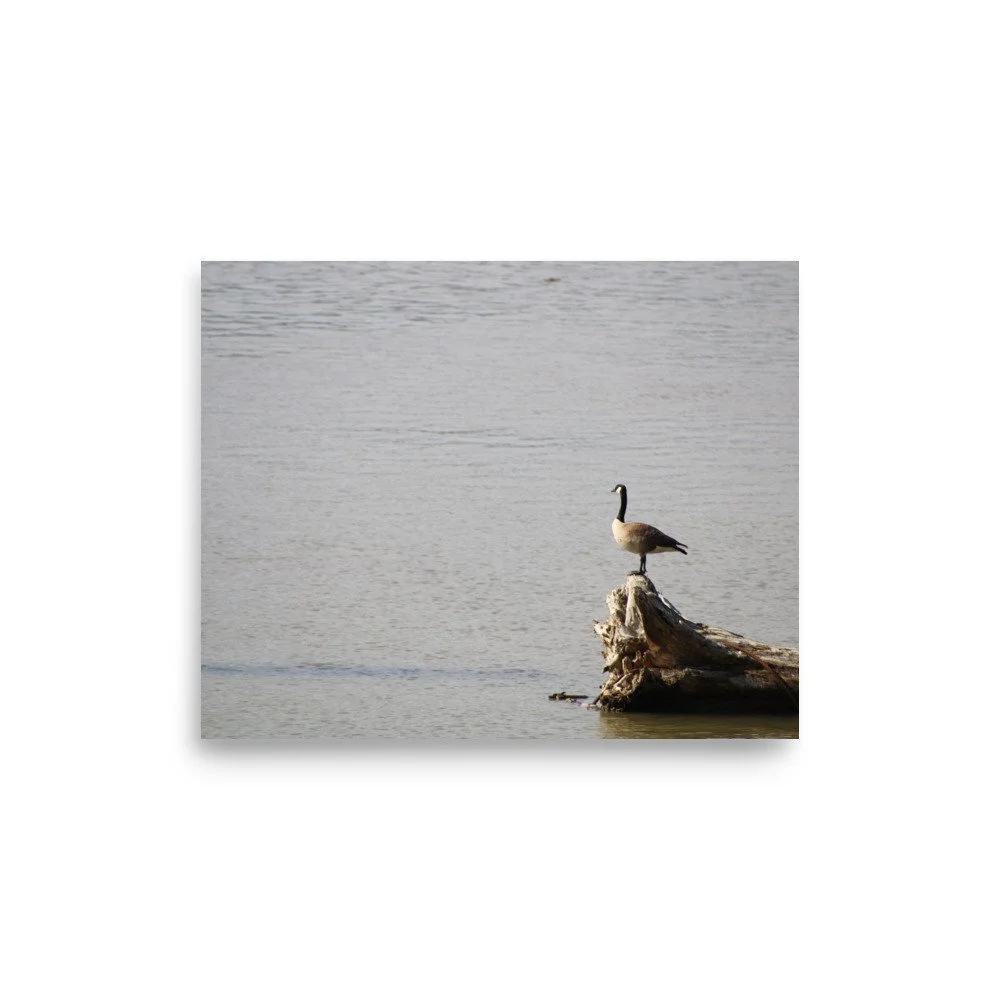 premium-luster-photo-paper-poster-(in)-8x10-front-6a13d091719b9.jpg