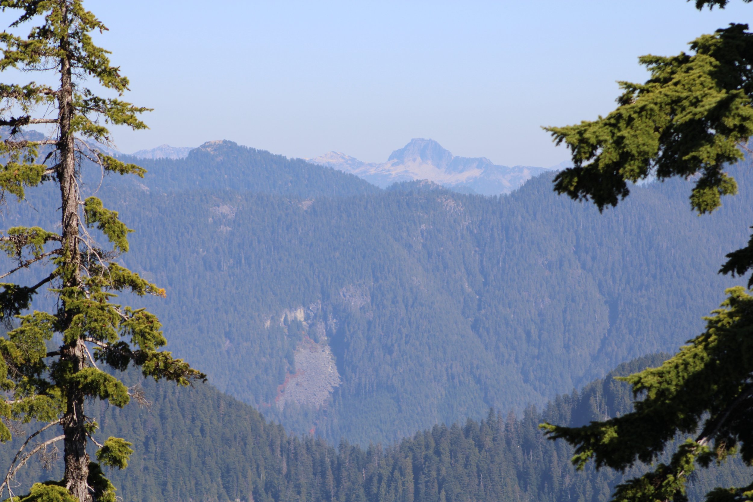 IMG_1924.JPG