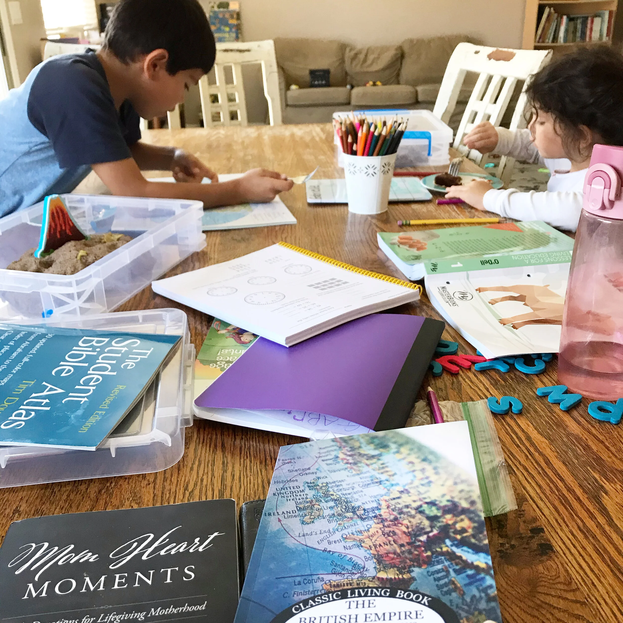 Homeschool Reveal 2021-2022 Year