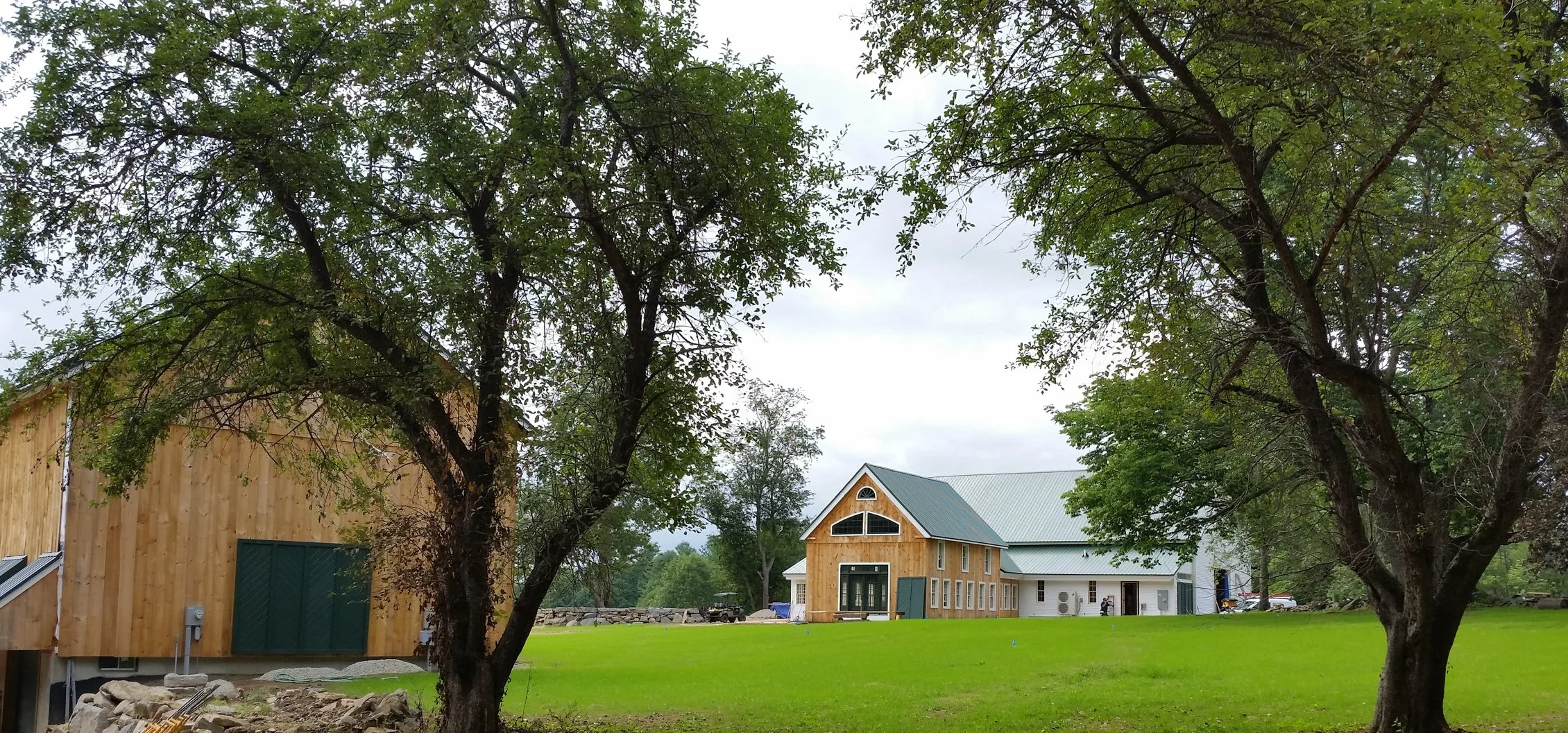 2 barns 2 trees.jpg