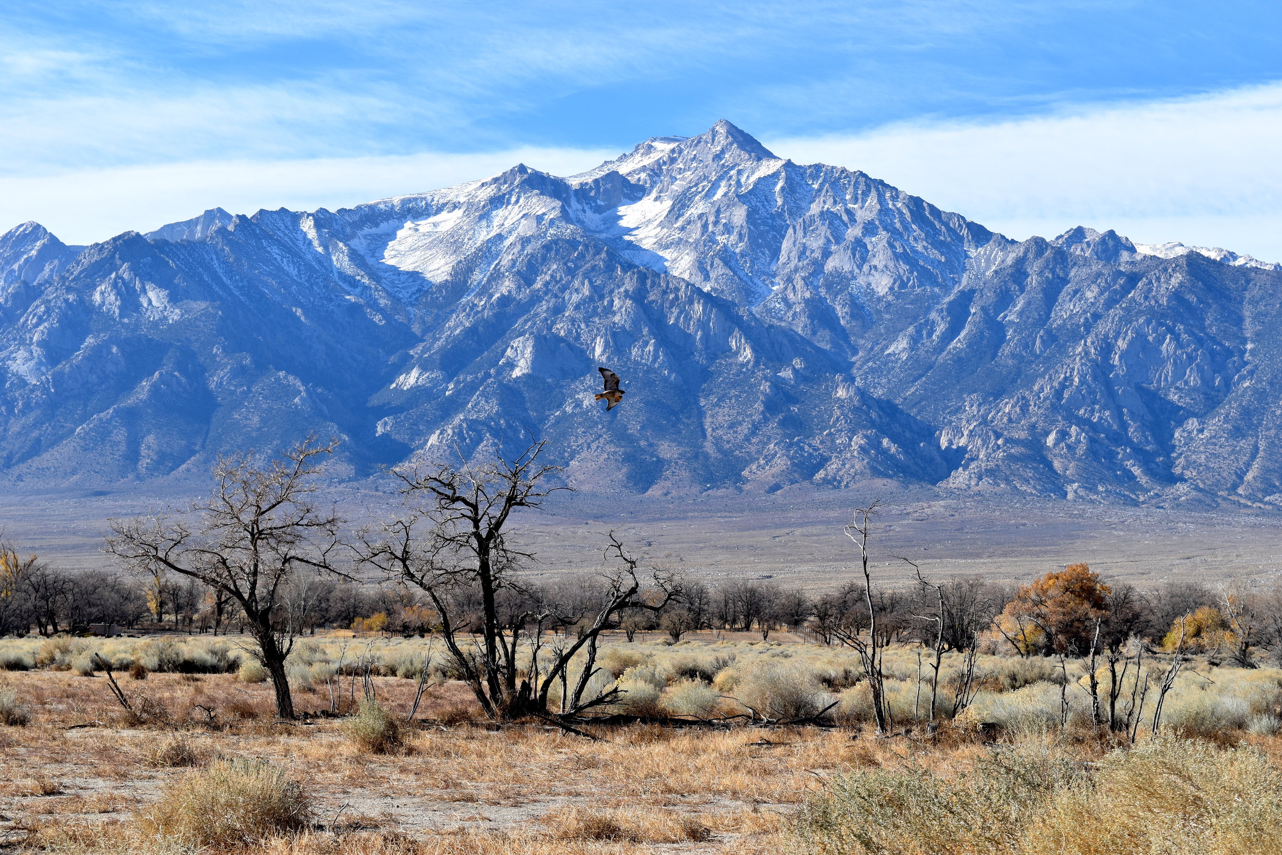 DSC_0960.JPG