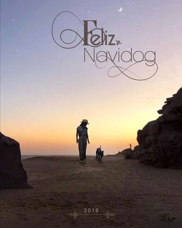 Feliz Navidad!⁣
We have been so overwhelmed, constantly chasing our tails during the renovation of our Los Cabos project that we not even posted. ⁣
We&rsquo;ve learned an enormous amount on our first project in Mexico, more than we ever expected. Tro