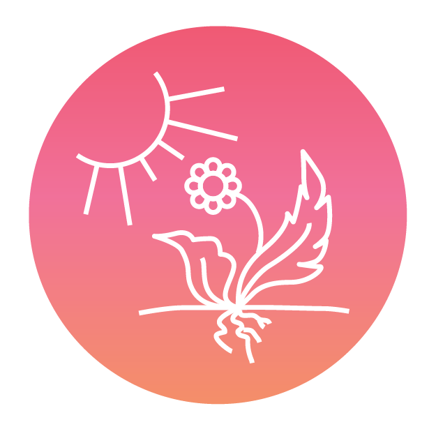 yogaed_icon_circle-resiliency-4x.png
