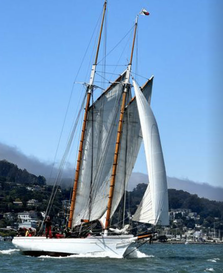 The Jessica Cup &amp; San Francisco Bay Championship Series Dinner