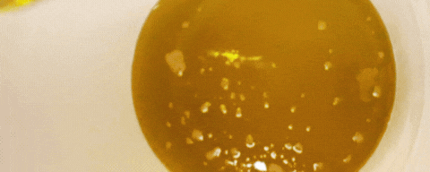 Gif of melted oils being poured into a white bucket.
