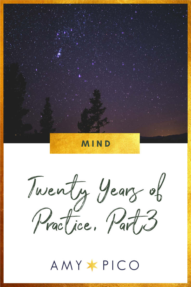 Twenty Years of Practice: Expansion &amp; Growth